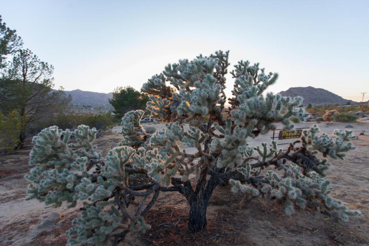 @ Marbella Lane - 10 Acres Oasis Desert Retreat! Joshua Tree Esterno foto