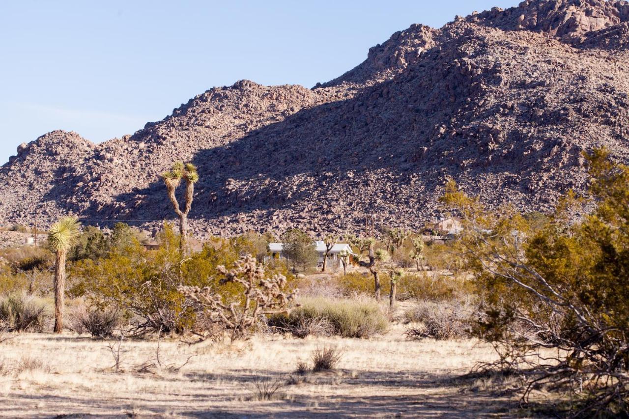 @ Marbella Lane - 10 Acres Oasis Desert Retreat! Joshua Tree Esterno foto